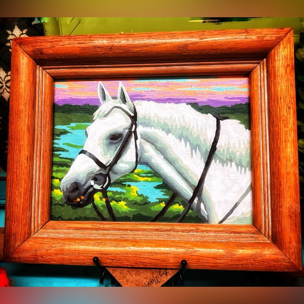 Vintage Paint By Number, White Horse, vintage frame, 9” by 10.5”